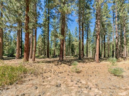 218 Ponderosa Drive, Stateline, NV 89449 Photo