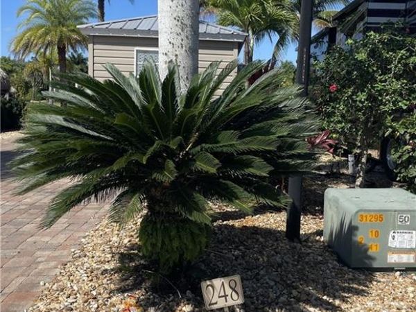 5230 Pineland Daisy TRL , FORT MYERS, FL 33905