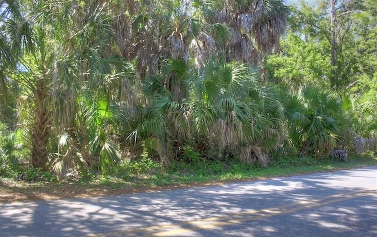 Lot 2 SW 165th Avenue, Cedar Key, FL 32625 Photo