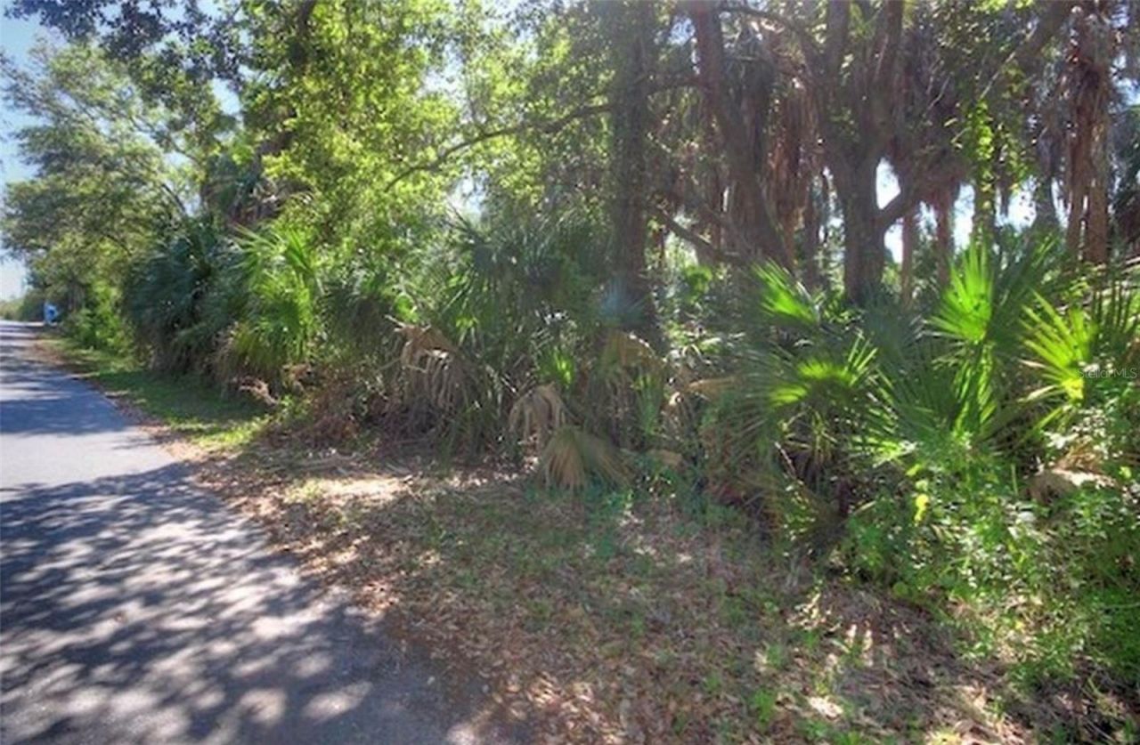 Lot 2 SW 165th Avenue, Cedar Key, FL 32625 Photo