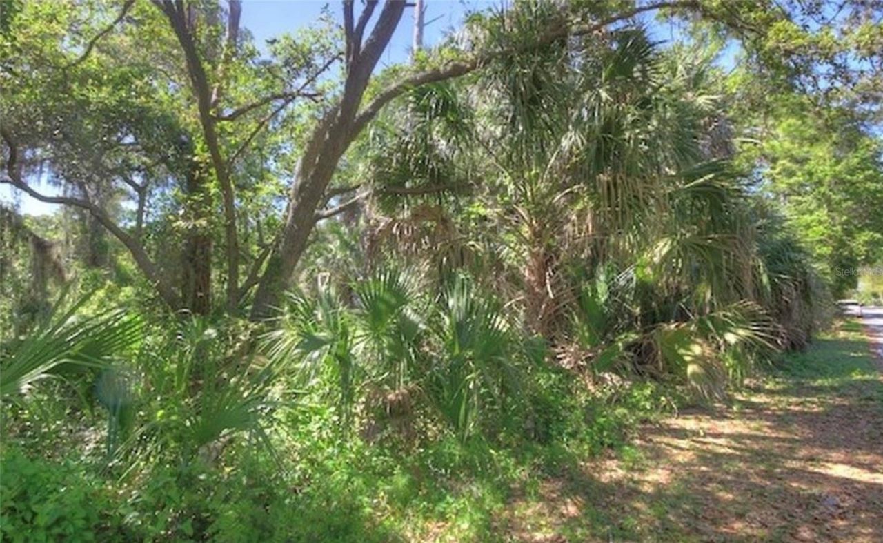 Lot 2 SW 165th Avenue, Cedar Key, FL 32625 Photo