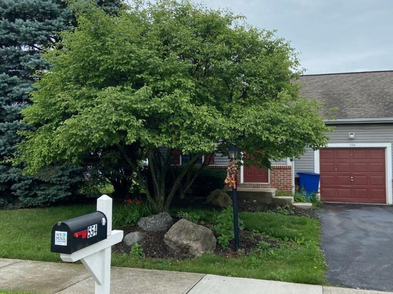 552 Boulder Drive, Delaware, OH 43015 Photo 2
