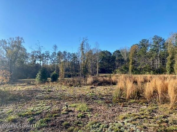 1169 Ole Springs Road, Summit, MS 39666
