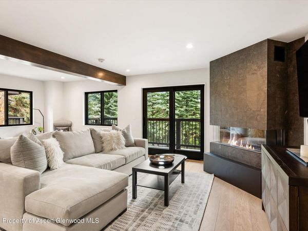 650 S Monarch Street, Unit 7, Aspen, CO 81611