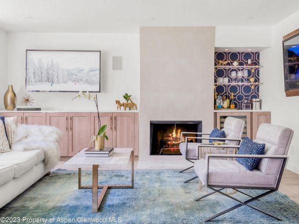 1020 E Durant Avenue, Unit 101, Aspen, CO 81611