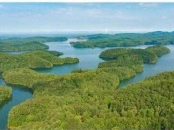 0 Carter View Drive, Ellijay, GA 30540