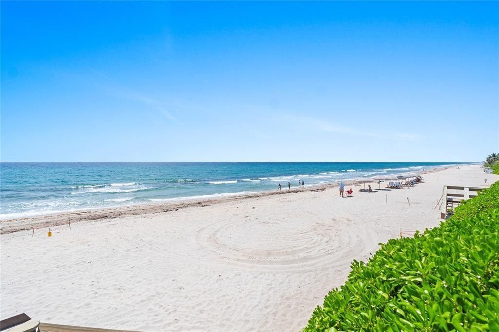 1161 Hillsboro Mile, Unit 306, Hillsboro Beach, FL 33062 Photo