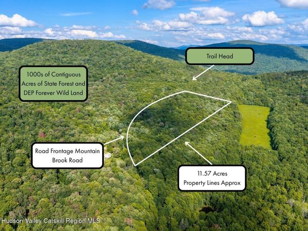Lot 22 Mountain Brook Road, Bovina, NY 13740
