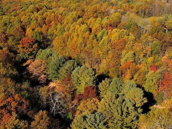 Buildable Preserv Parcel TEN OAKS ROAD , DAYTON, MD 21036