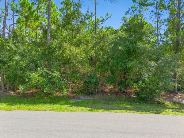 MUSTANG , ST CLOUD, FL 34771