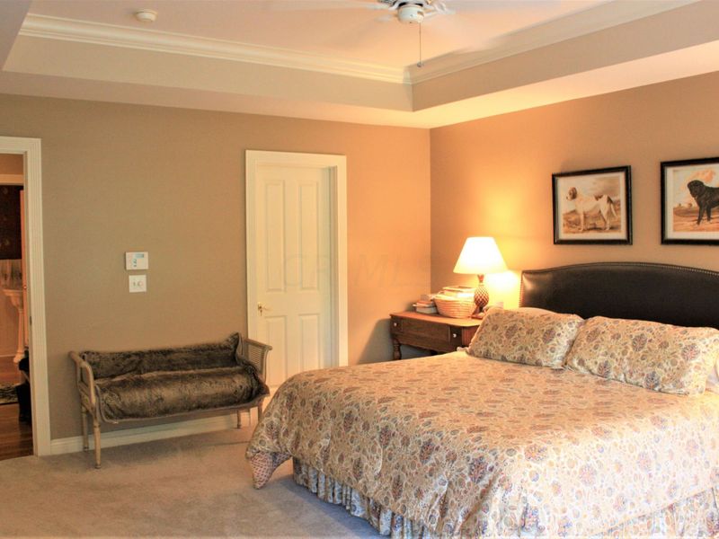 9003 Turfway Bend Drive, Powell, OH 43065 Photo 28