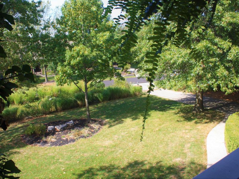 9003 Turfway Bend Drive, Powell, OH 43065 Photo 52