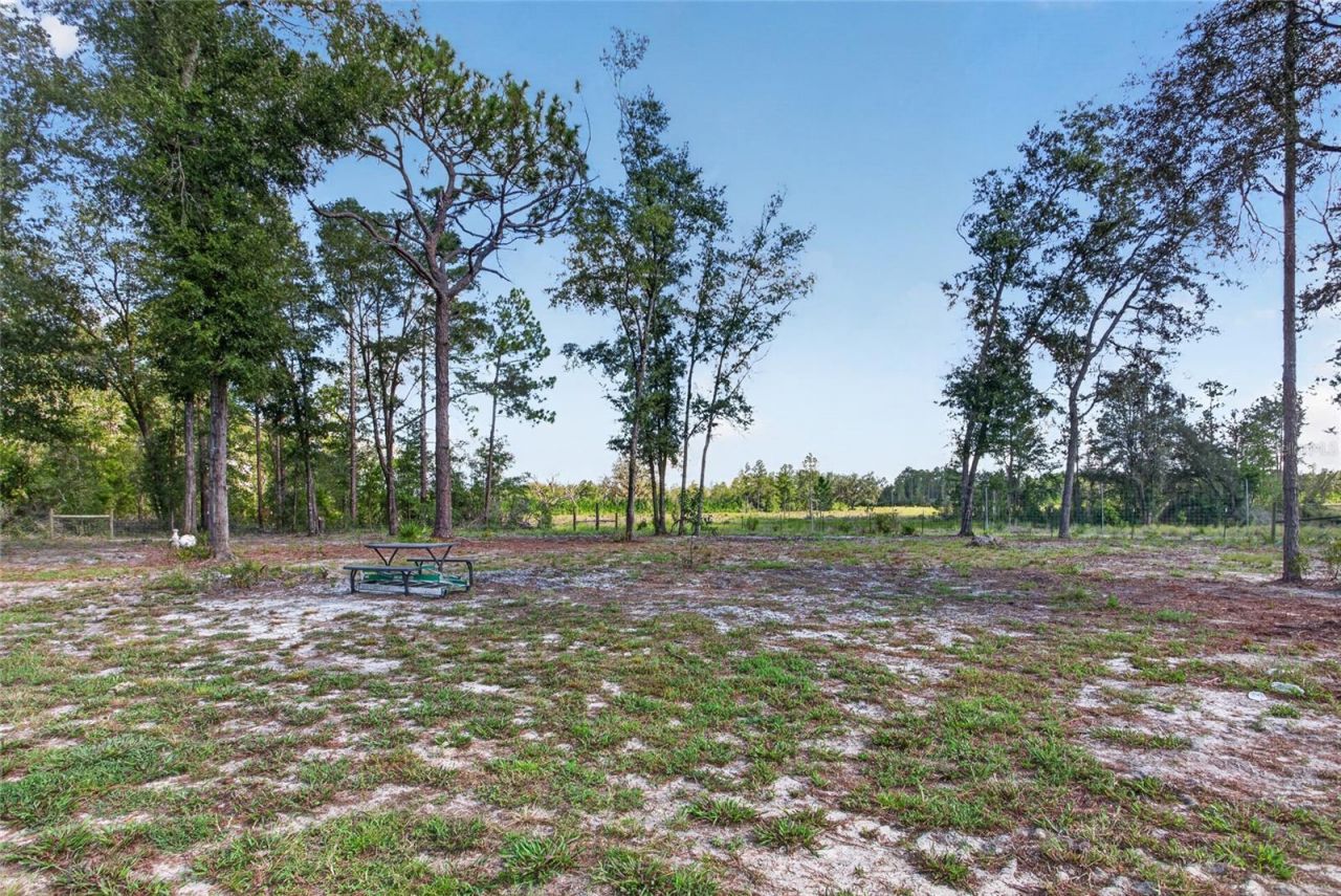 79 NE 91st Street , Branford, FL 32008 Photo