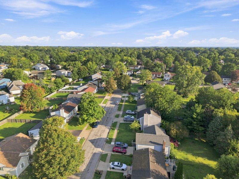 8369 Yuma Drive, Powell, OH 43065 Photo 37