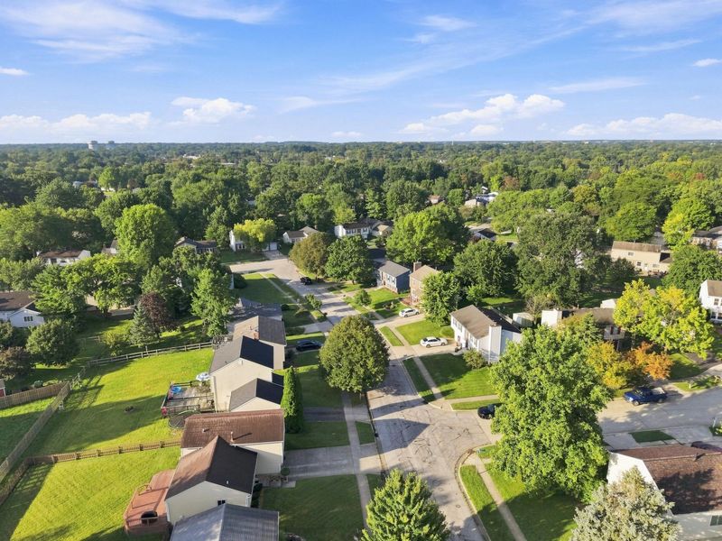 8369 Yuma Drive, Powell, OH 43065 Photo 39