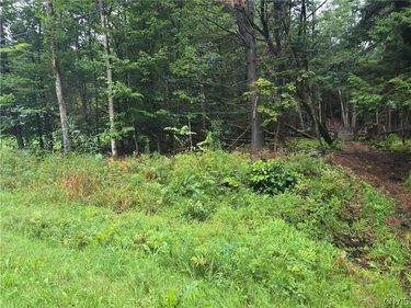 Burton Road, Camden, NY 13316