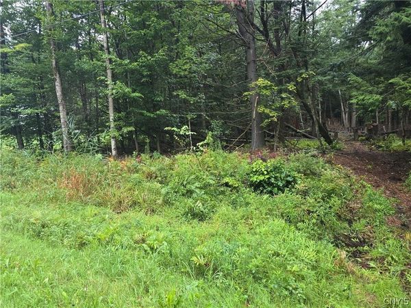 Burton Road , Camden, NY 13316