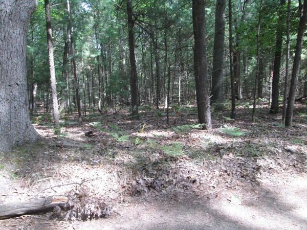 0 Victoria Boulevard, Unit B 2, Pentwater, MI 49449