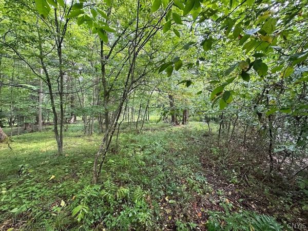 5416 Saunders Hill Road , Belmont, NY 14813