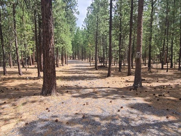 52328 Elderberry Court, La Pine, OR 97739