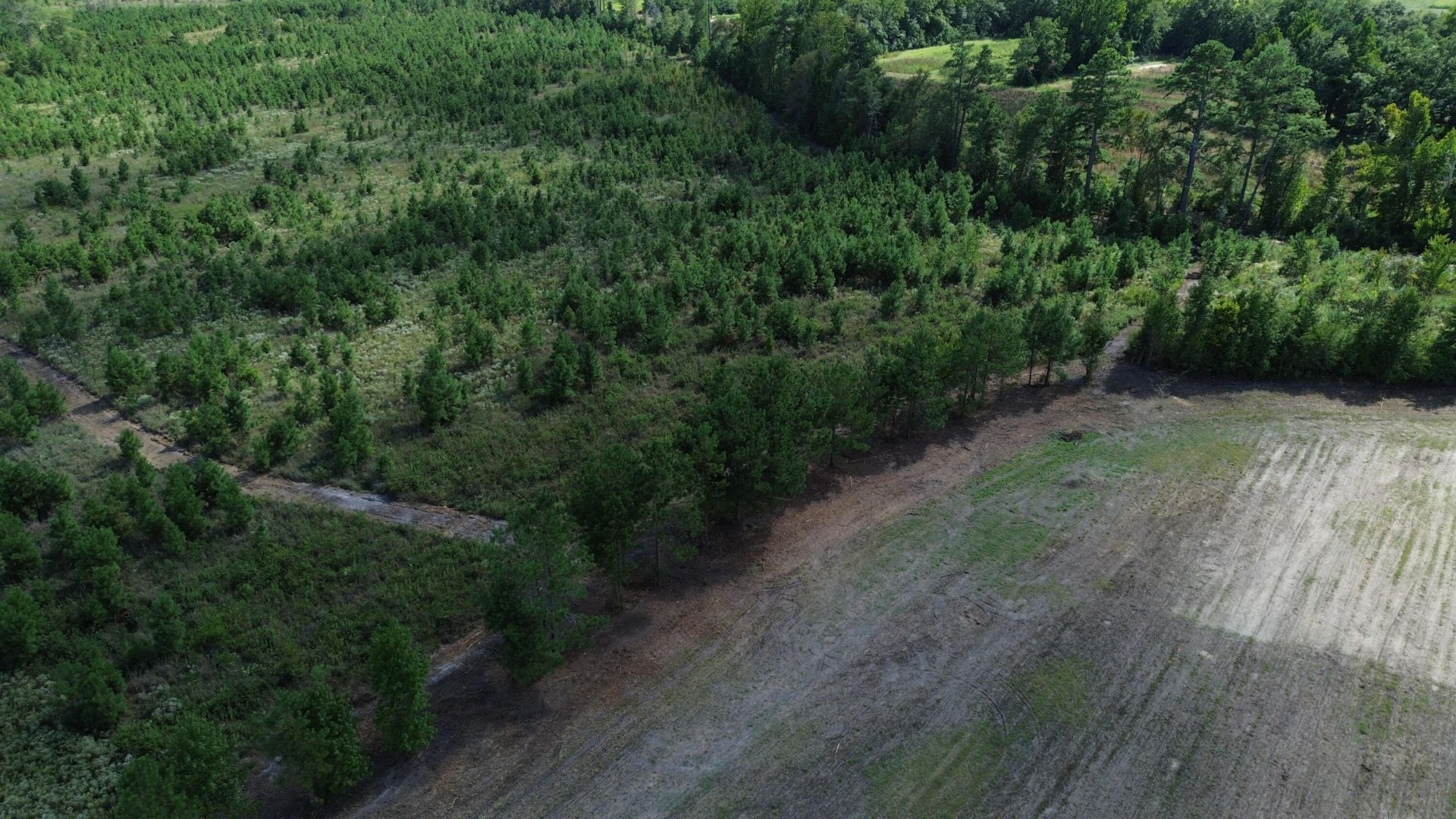 1 Bethel Forest Road Photo 10