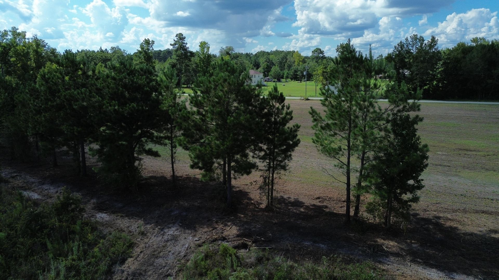 1 Bethel Forest Road Photo 14