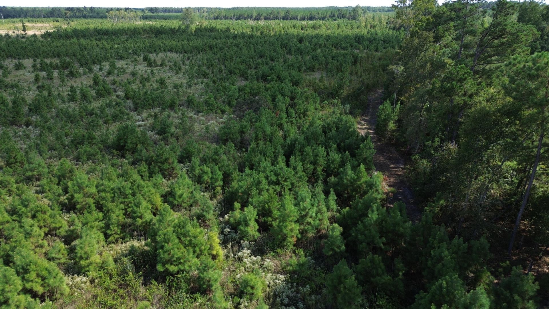 1 Bethel Forest Road Photo 17