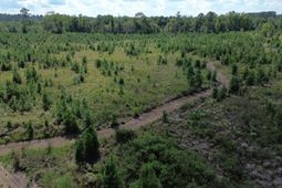 1 Bethel Forest Road photo 4