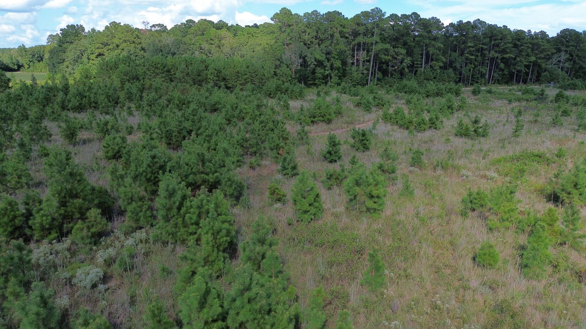 1 Bethel Forest Road Photo 20