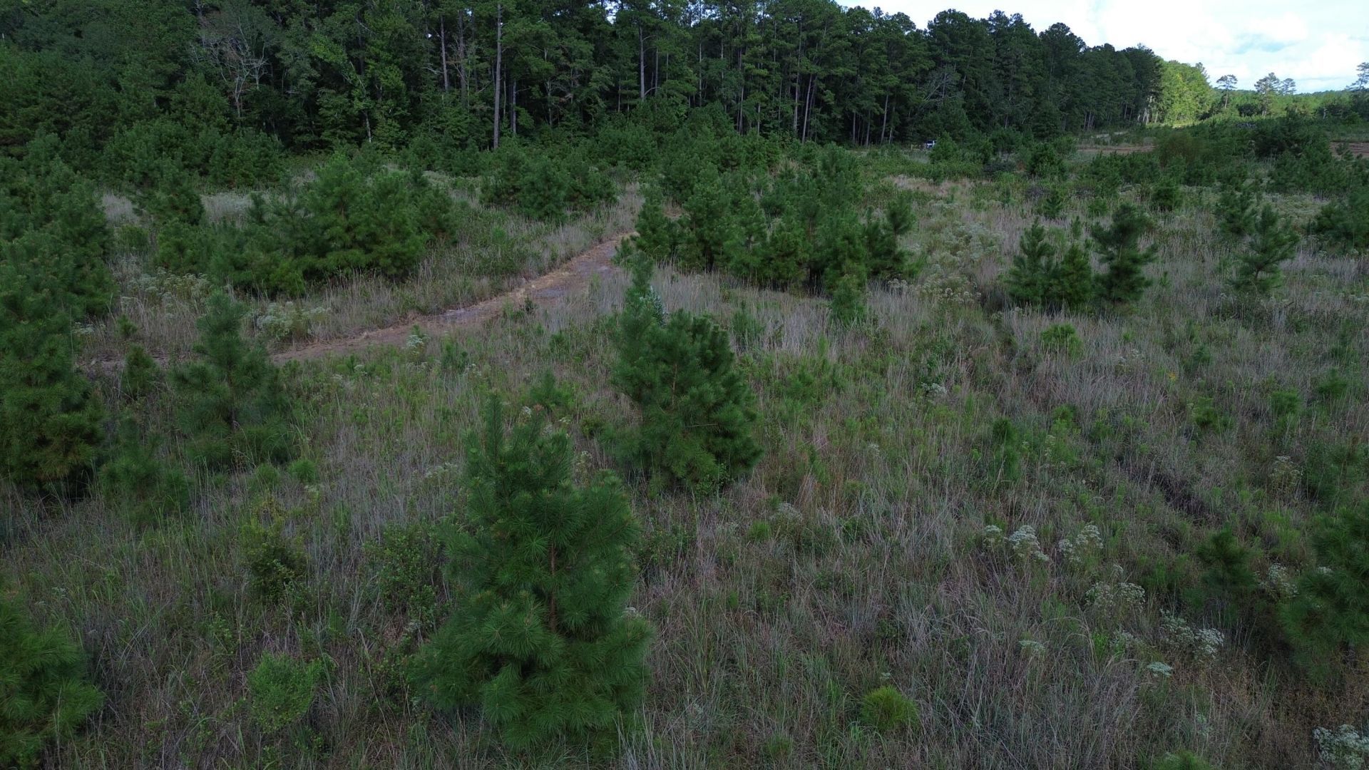 1 Bethel Forest Road Photo 23