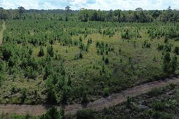 1 Bethel Forest Road photo 4