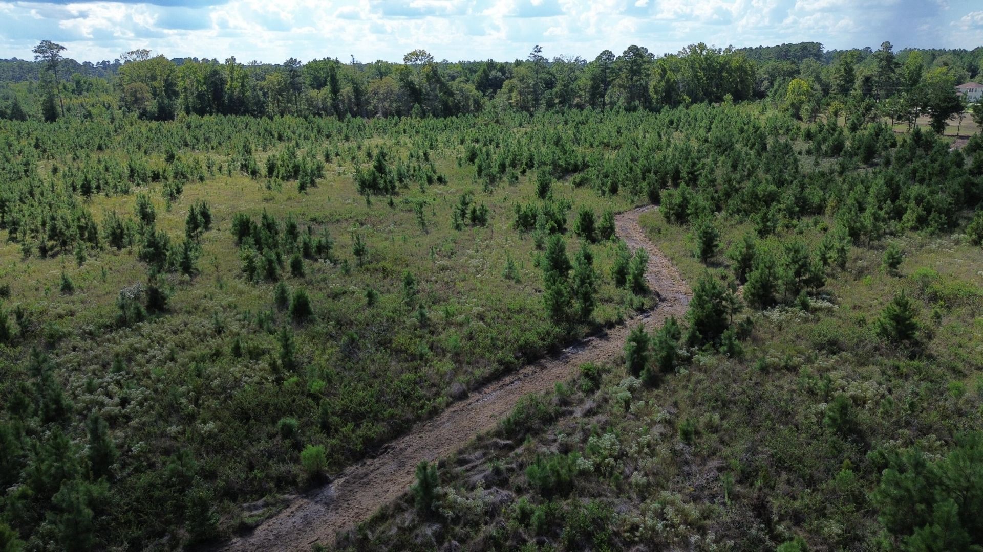 1 Bethel Forest Road Photo 4