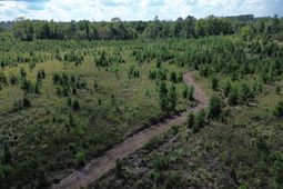 1 Bethel Forest Road photo 4