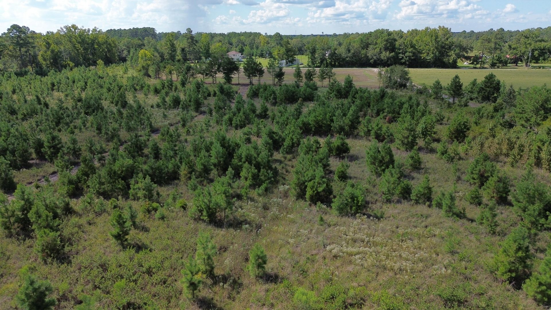 1 Bethel Forest Road Photo 5