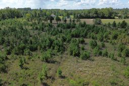 1 Bethel Forest Road photo 4