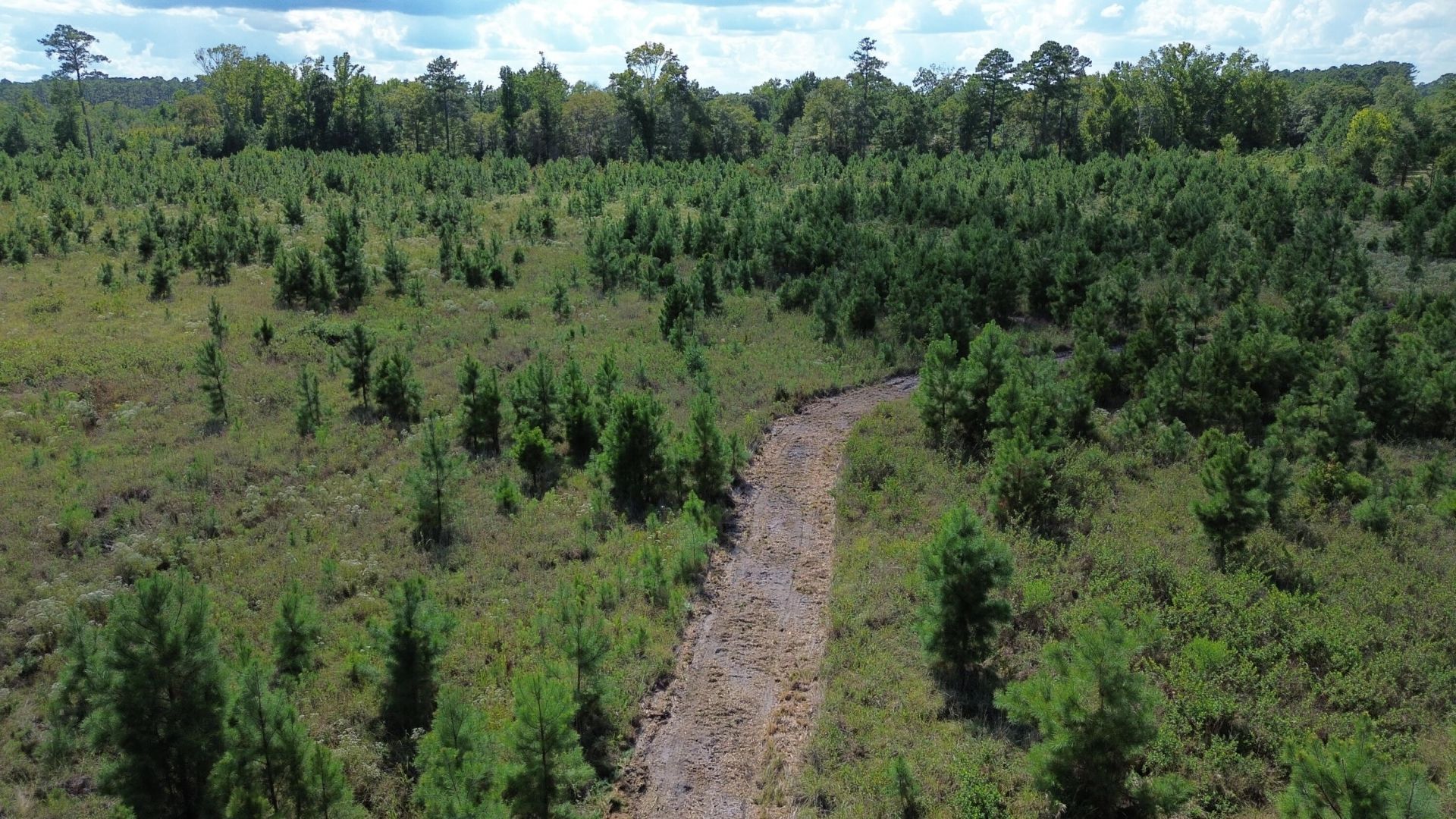 1 Bethel Forest Road Photo 6