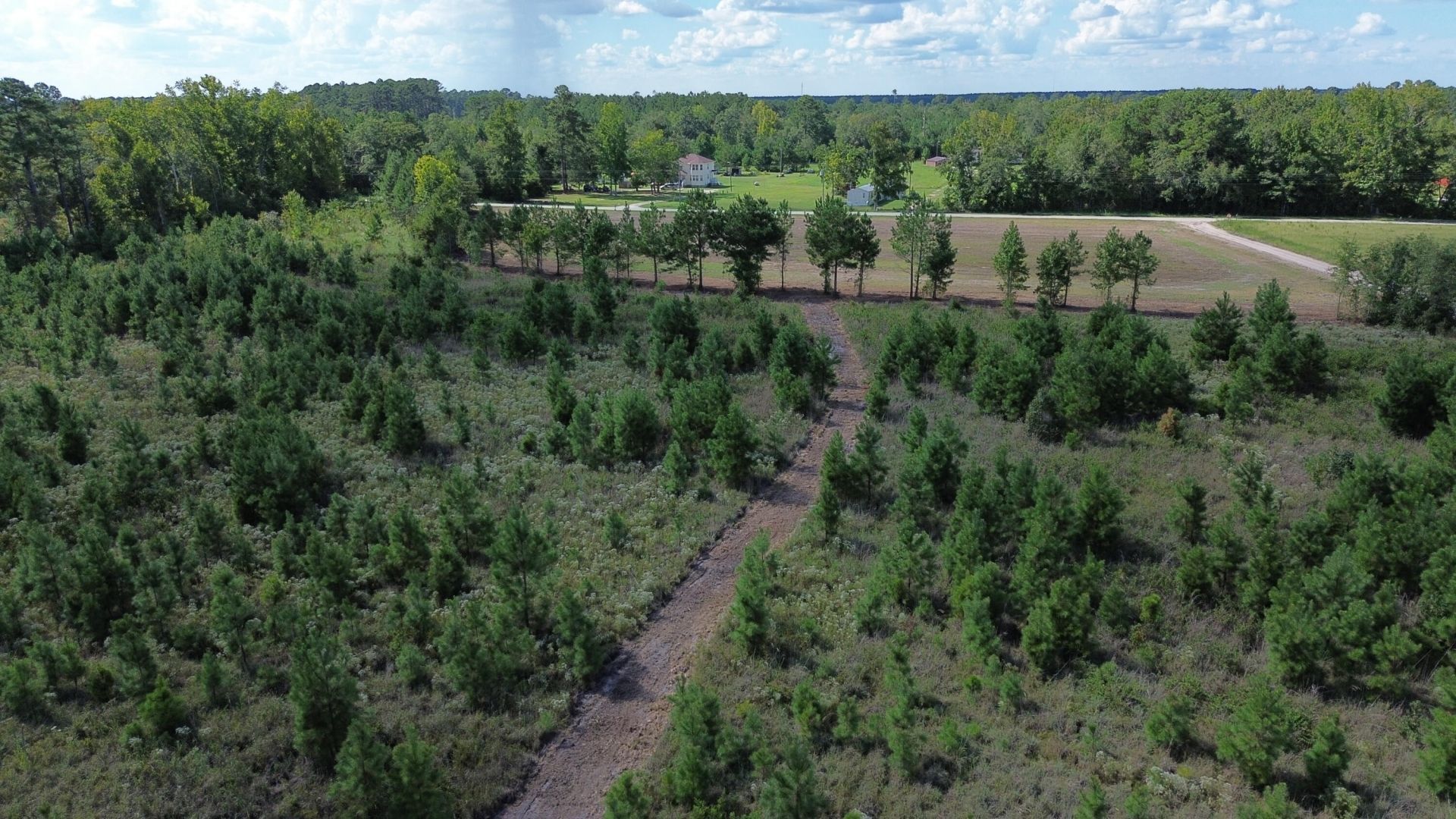 1 Bethel Forest Road Photo 7