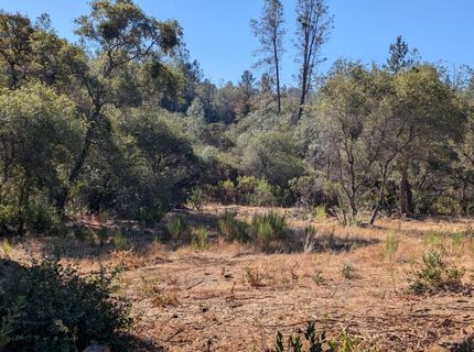 19080 Slide Mine Rd, North San Juan, CA 95960 Photo