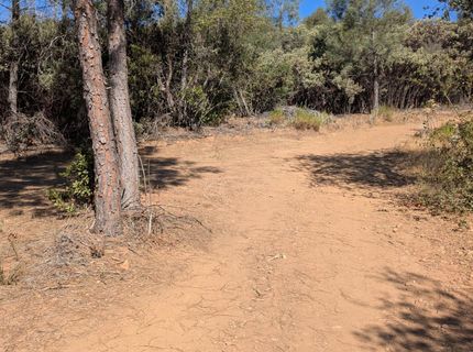 19080 Slide Mine Rd, North San Juan, CA 95960 Photo