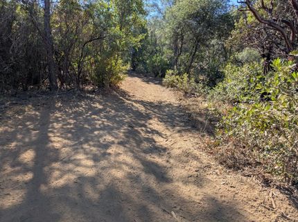 19080 Slide Mine Rd, North San Juan, CA 95960 Photo
