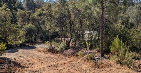 19080 Slide Mine Rd, North San Juan, CA 95960 Photo