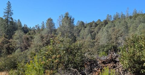 19080 Slide Mine Rd, North San Juan, CA 95960 Photo
