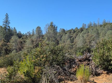 19080 Slide Mine Rd, North San Juan, CA 95960 Photo
