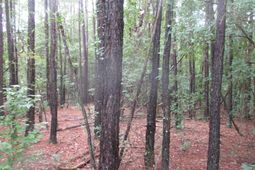 270 Clearwater Road  photo 4