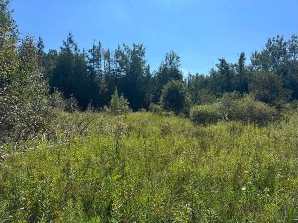 V/L 36.8AC Boilore Road, Alpena, MI 49707