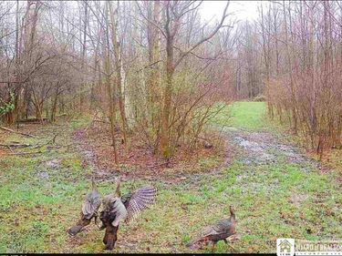 Route 430, Findley Lake, NY 14736