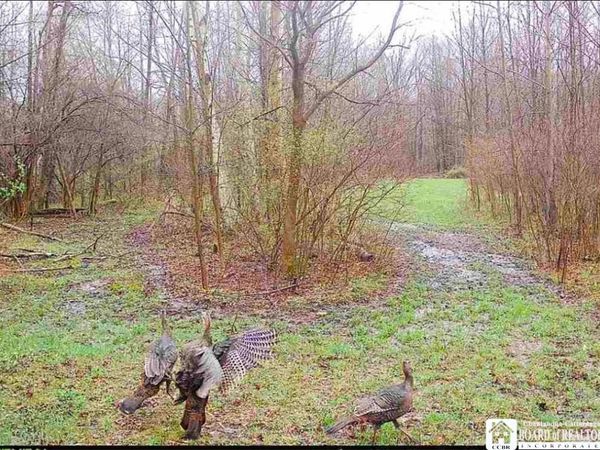 Route 430, Findley Lake, NY 14736