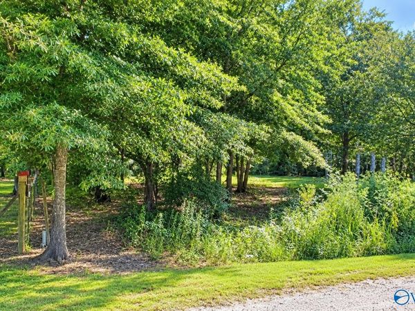 Lot 171 County Road 1011, Centre, AL 35960