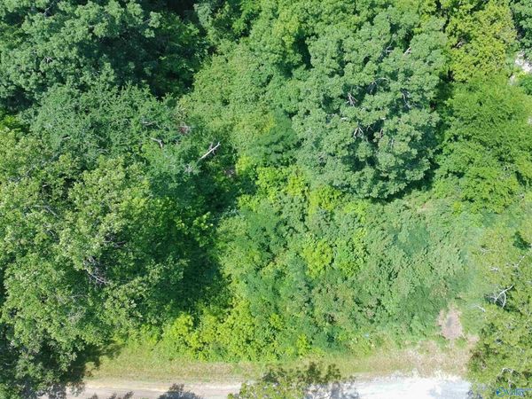 46 Foothill Circle, Arab, AL 35016