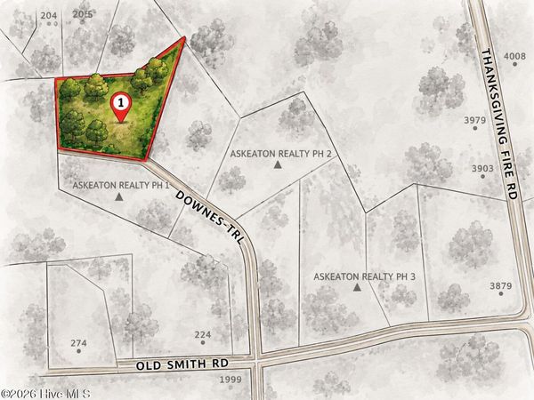 50 Downes Trail , Selma, NC 27576